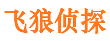 安化市侦探公司